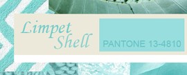 Limpet Shell / Раковина моллюска (Pantone 13-4810)